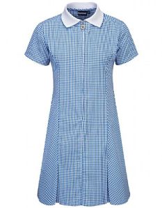 Blue Gingham Dress for School (Plain/No Logo)