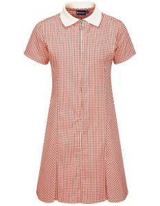 Red Gingham Dress for School