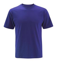 Royal PE T-shirt Crew Neck (PLAIN) - for Benedict Biscop CE Academy