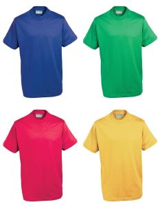 House Colour PE T-shirt - for Brandon Primary School