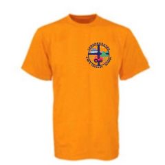 Gold PE T-shirt - Embroidered with Longhoughton C.E. Primary School Logo