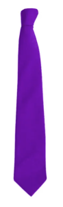 Welbeck Tie (Years 5 and 6 Only) - 16" Clip-on.