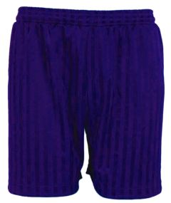 Purple PE Shorts Shadow Stripe