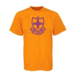 Yellow PE T-shirt - Embroidered with St Anne's PS School Logo