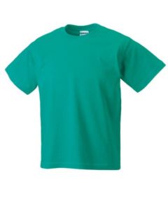 Jade PE T-shirt - Embroidered with The Drive Primary School Logo