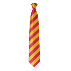 School Tie - for Embleton Vincent Edwards C of E Primary School